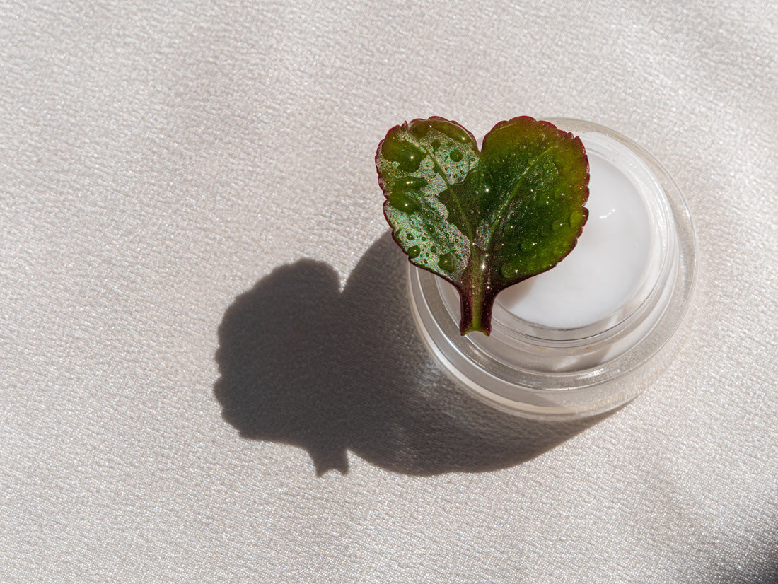 Heartleaf in Korean Skincare: What It Does and Who It’s For